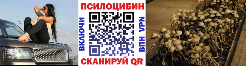 Псилоцибиновые грибы мухоморы  Купить где  Медвежьегорск 